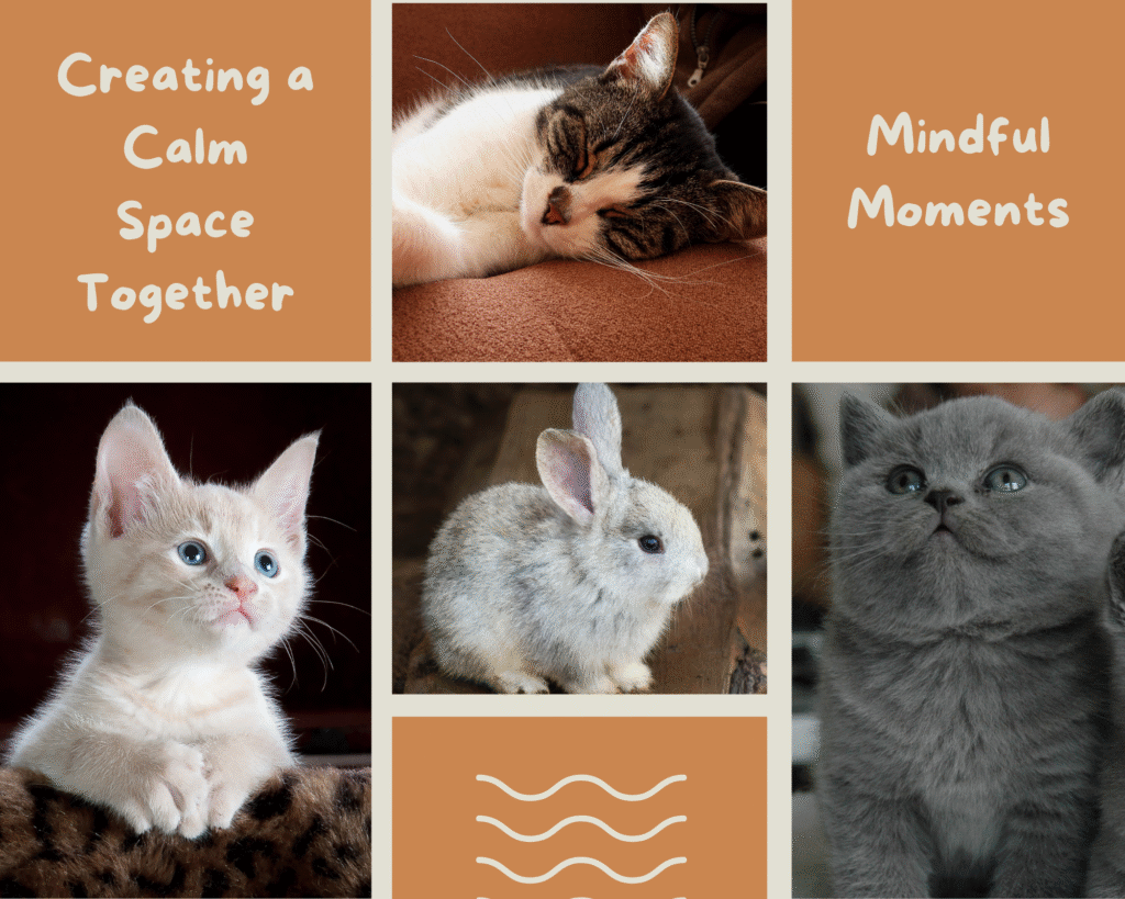 mindfulness-with-your-pet