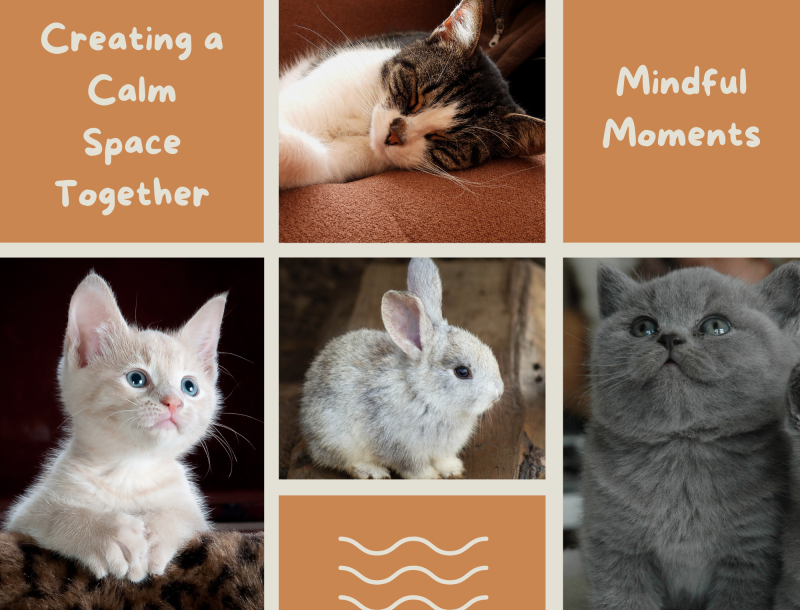 Mindful Moments with Your Pet mindfulness-with-your-pet